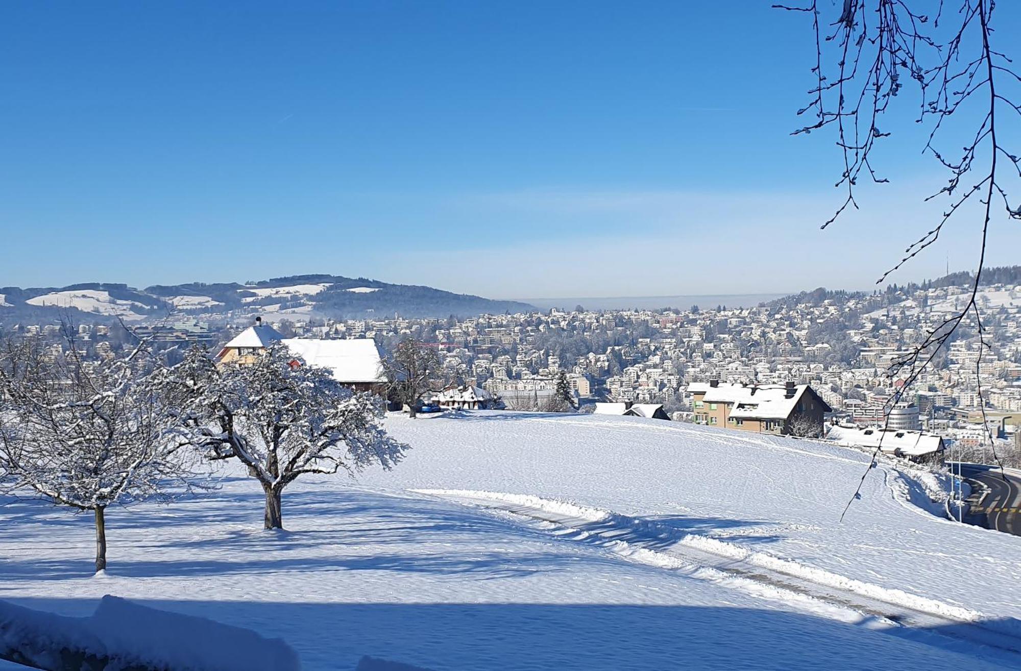2-4 Zimmer Apartments Stilvoll Im Gertrud Schloessli - Zentral Ruhig St. Gallen Exterior foto