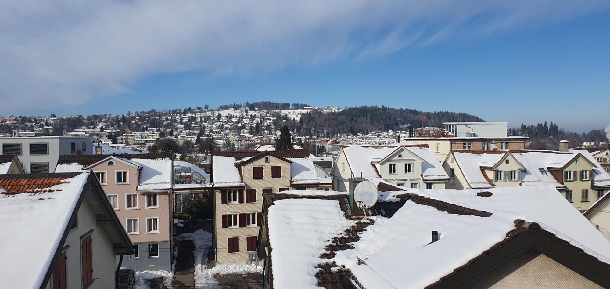 2-4 Zimmer Apartments Stilvoll Im Gertrud Schloessli - Zentral Ruhig St. Gallen Exterior foto